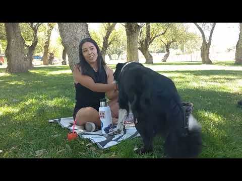 Valcheta, Aguas de Encuentro   #Ekesh Verano Cultural 2025