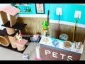How to Make Pet Stuff for Your Doll 2 