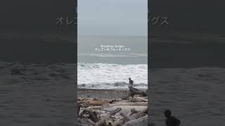 オレゴン暮らし| 波の音ASMR