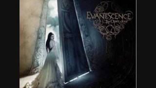 Evanescence - The Last Song I&#39;m Wasting On You