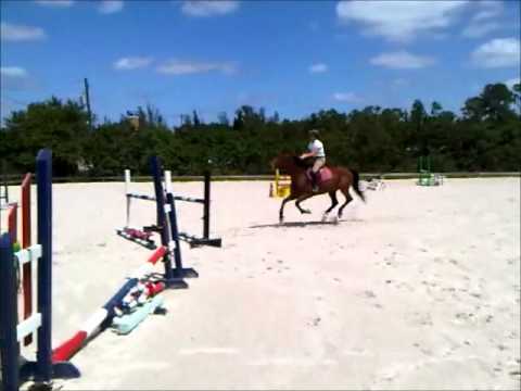 Jumping 3'6 + Oxer With Eli