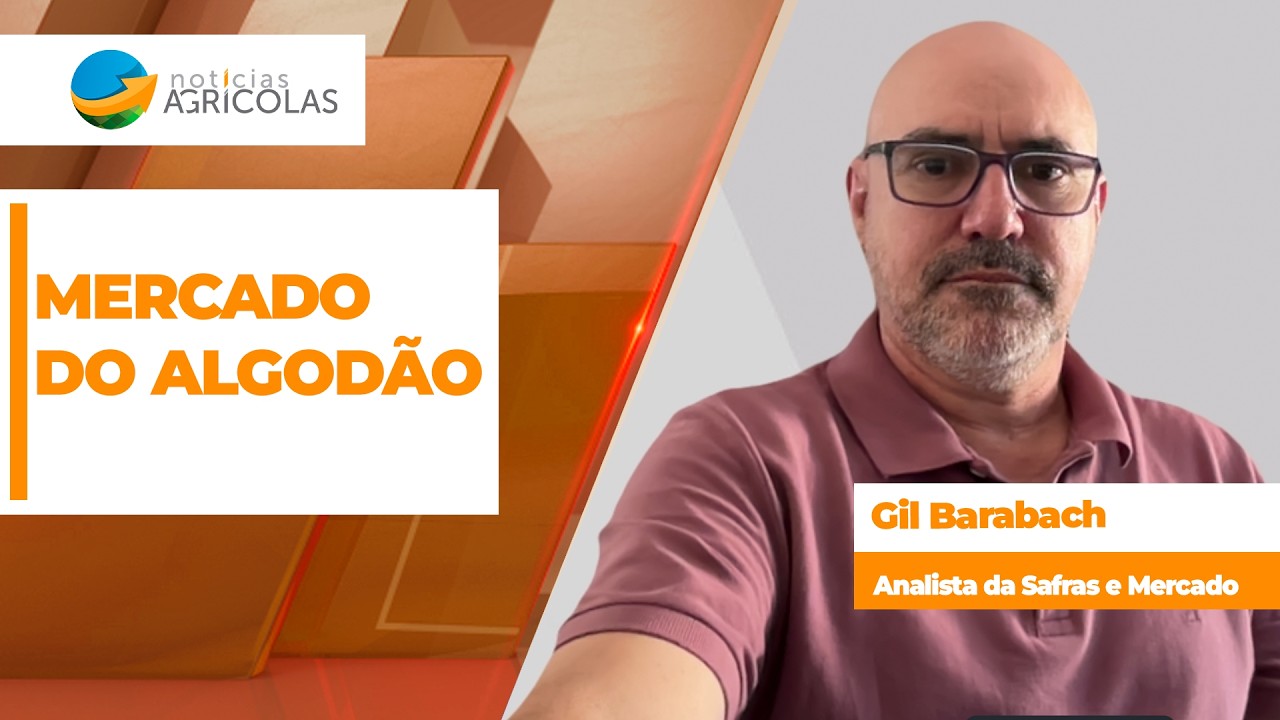 MERCADO DO ALGODÃO - EDIÇÃO 20-08-2026