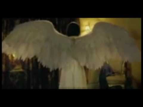 Maximum Ride Movie Trailer