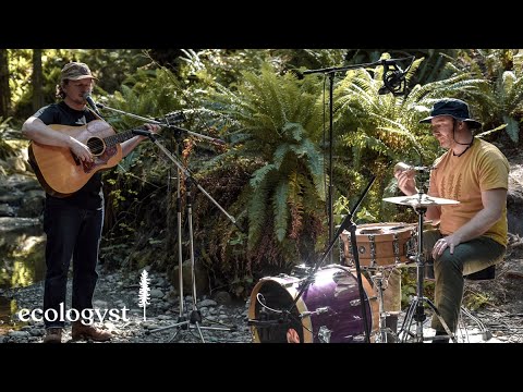 ecologyst Sessions | Jon and Roy | Mountain Tops