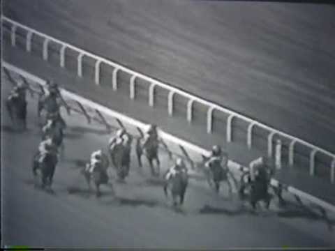 Arts and Letters - 1969 Metropolitan