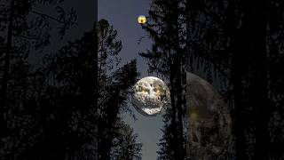 Download lagu majors Mask lunar moon!#foryou #planet #astronomy #solarplanet #solarsystem #moon #space #scary # mp3 Download lagu majors Mask lunar moon!#foryou #planet #astronomy #solarplanet #solarsystem #moon #space #scary # mp3