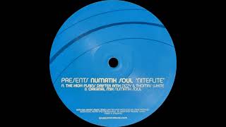 Numatik Soul - Niteflite (Original Mix) | ©2003 Offset