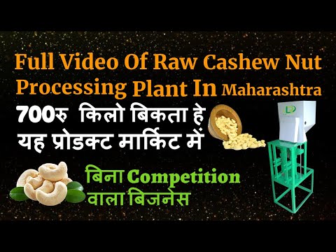 Semi Automatic Cashew Processing Machine