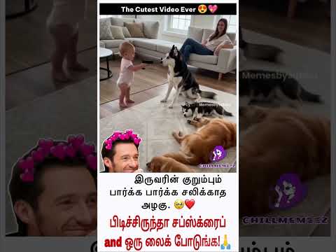 இரு நண்பர்களின் அன்பு. #tamil #chill 🐶👶 #trending #shorts