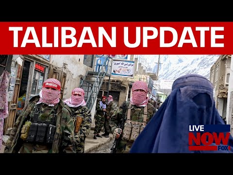 Video | US weapons form core Taliban security apparatus