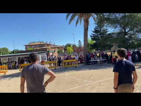 Tiro de barra aragonesa en La Almunia de Doña Godina 1/10/22