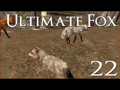 Birth of Thistleclaw's Last Kit!! • Ultimate Fox Simulator - Episode #22 - Season Finale!!