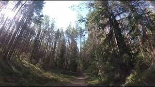 preview picture of video 'Nature Trail on a Bicycle in Loppi, Finland | 360° View'
