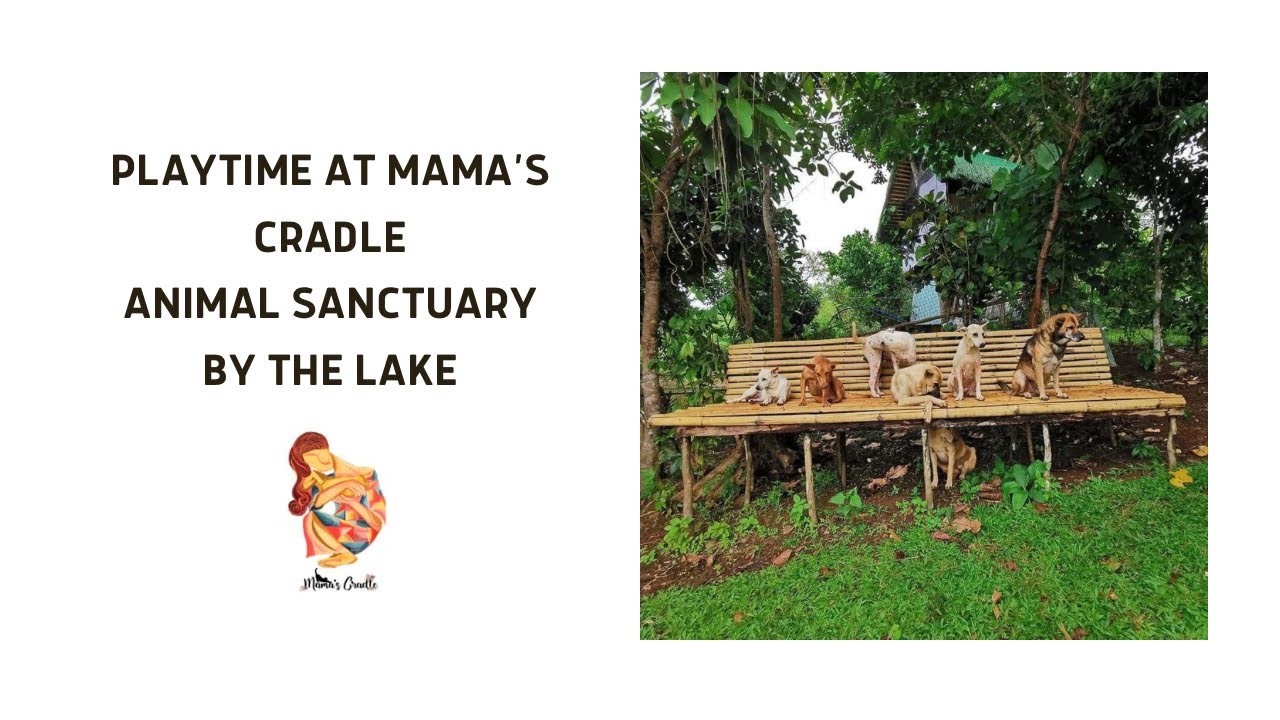 A GLIMPSE OF MAMA'S CRADLE ANIMAL SANCTUARY