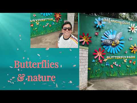 Bannerghatta Zoo &amp; Butterfly Park — The Complete Walkthrough (Bangalore Family Day Out)