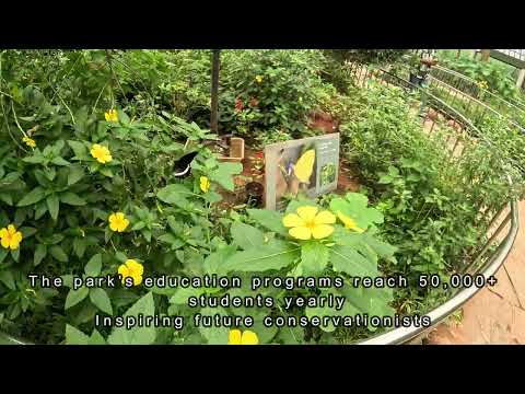 Bannerghatta Zoo &amp; Butterfly Park — The Complete Walkthrough (Bangalore Family Day Out)
