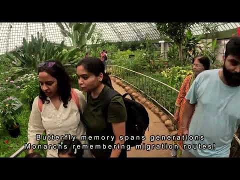 Bannerghatta Zoo &amp; Butterfly Park — The Complete Walkthrough (Bangalore Family Day Out)