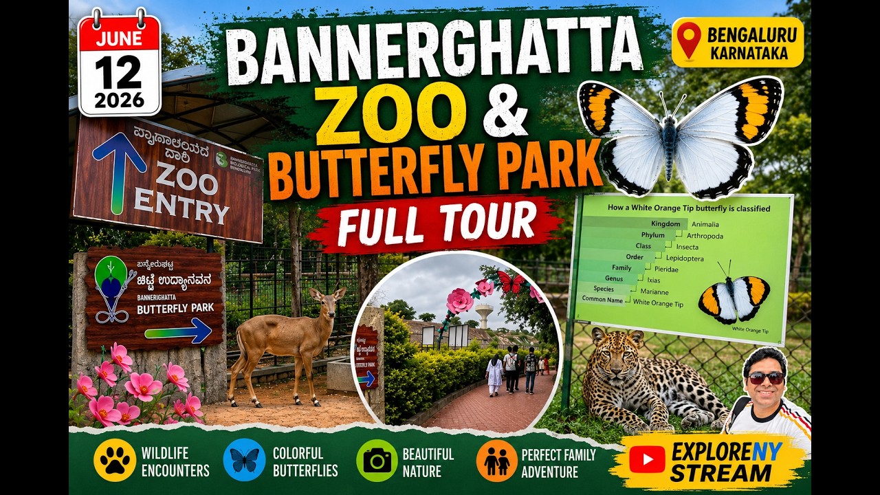 Bannerghatta Zoo & Butterfly Park Complete Tour | Bangalore | June 2026