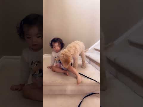 Lyana with Bagel 😂🤪