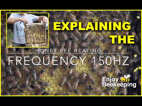 05 07 2023 Explaining Honey Bee Frequency