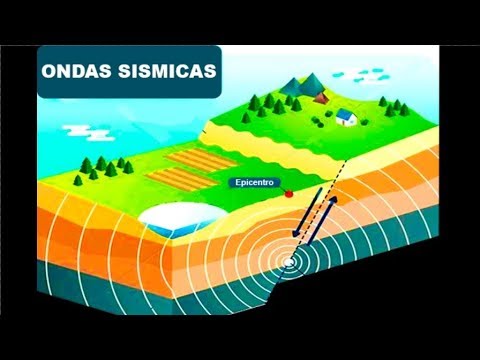 ✅ Types of Seismic Waves