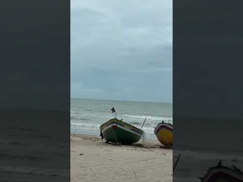 praia de bitupitá .barroquinha Ceará Brasil. #praia #turismo #mar