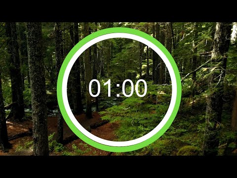 1 Minute Timer with Forest/Nature Background | 1 Minute Forest/Nature Background Countdown Timer