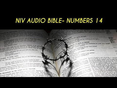 NUMBERS 14 NIV AUDIO BIBLE (with text)