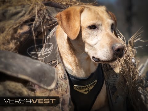 MOMarsh Versa-Vest Product Video