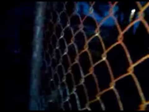 Bailen (El Party de Reykon) [Canción oficial] - Reykon el Líder. ®