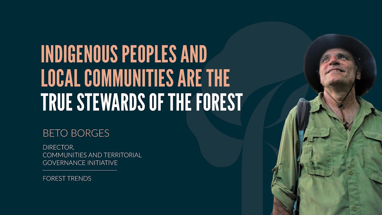 Indigenous Peoples and Local Communities are the true stewards of the forest