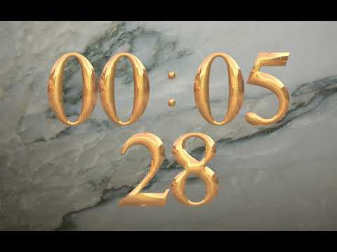 Count-up Stopwatch Timer 10 minutes, show seconds, speak count every 5 seconds