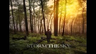 Storm The Sky - Closer