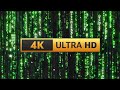 Matrix Screensaver Rain Code 12H 4K Longest Video On Youtube