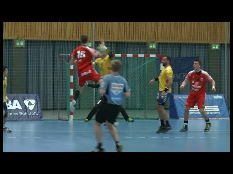 Mecklenburger Stiere