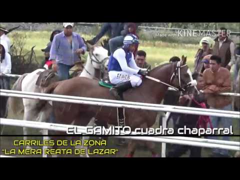 TORETTO VS GAMITO VS REY MIDAS VS NORTEÑO