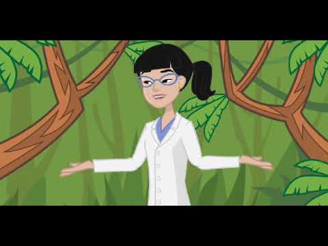 🌟 Unlock the Power of Micronutrients Boost Your Health Today 🥦✨ #NutritionTips #HealthyLiving