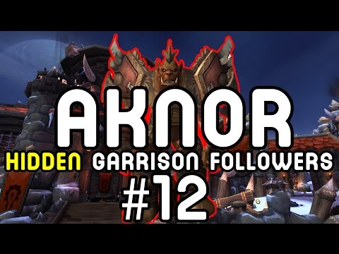 AKNOR STEELBRINGER: Hidden Garrison Followers #12 (Warlords of Draenor)