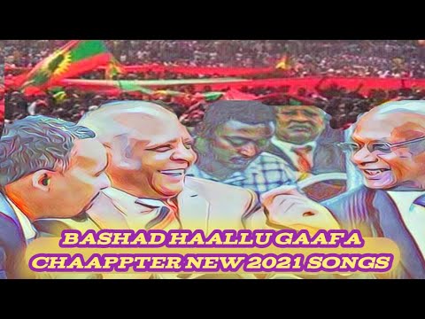 New Oromo Music 2021 Bashad Haallu Gaafa Chaappter New 2021 Songs