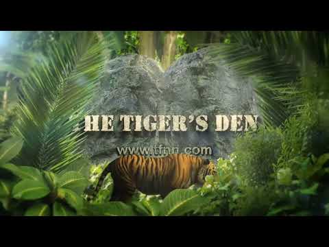 August 25th, The Trader's Edge with Steve Rhodes on TFNN - 2020