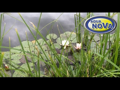 Aqua Nova NAP-45 Tvenkinio oro pompa 25W, 45L/min video