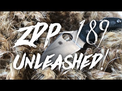 ZDP 189 Unleashed: Edge Retention Testing Spyderco Dragonfly 2