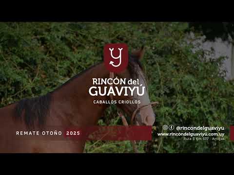 LOTE 27 - LAPACHO DEL GUAVIYÚ / POTROS