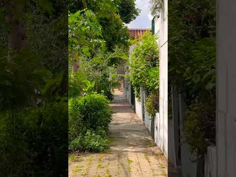 Son realmente muy tranquilas las calles de La Lucila en #vicentelopez #shorts #buenosaires #travel
