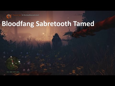 Far Cry Primal PS4 gameplay Bloodfang Sabretooth Tamed
