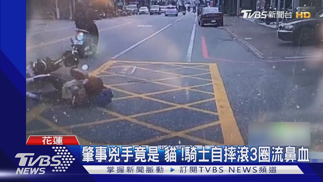肇事兇手竟是「貓」 騎士自摔滾3圈流鼻血
