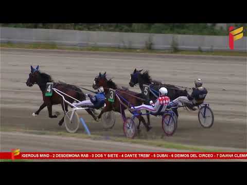 I Corsa del 20 Maggio 2023 - 4 Anni - Metri 2000