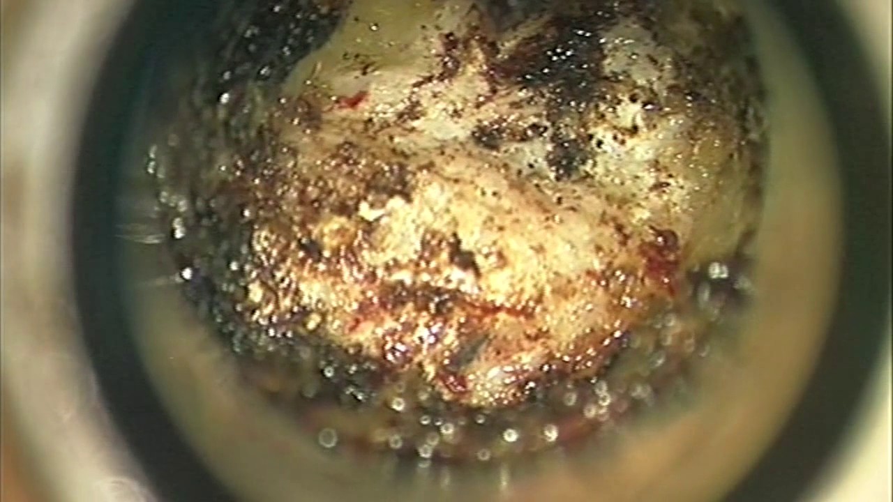 Edgar Enrique Ferreira Martins-11