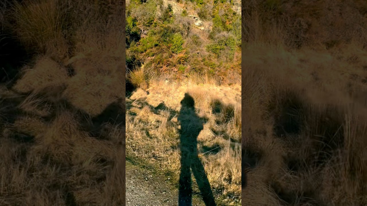 YouTube Short thumbnail