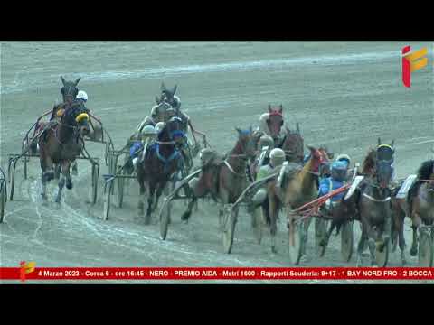 VI Corsa del 4 Marzo 2023   5 Anni ed oltre   Metri 1600